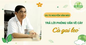 GS.TS NGUYỄN VĂN MÙI TRẢ LỜI PHÓNG VIÊN VỀ CÂY CÀ GAI LEO