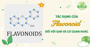 Bật mí tác dụng của Flavonoid đối với gan và cơ quan khác