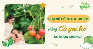 Phụ nữ có thai và trẻ em có uống được cà gai leo không?