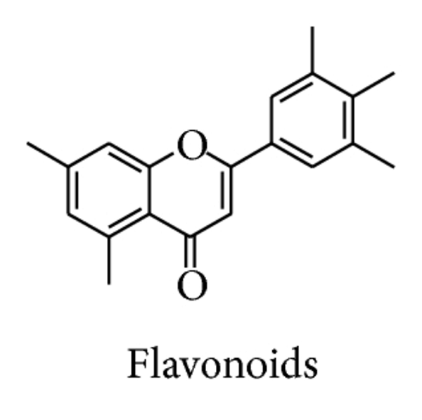 Flavonoid là gì