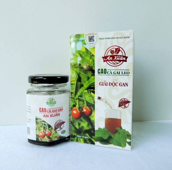 Cao cà gai leo An Xuân