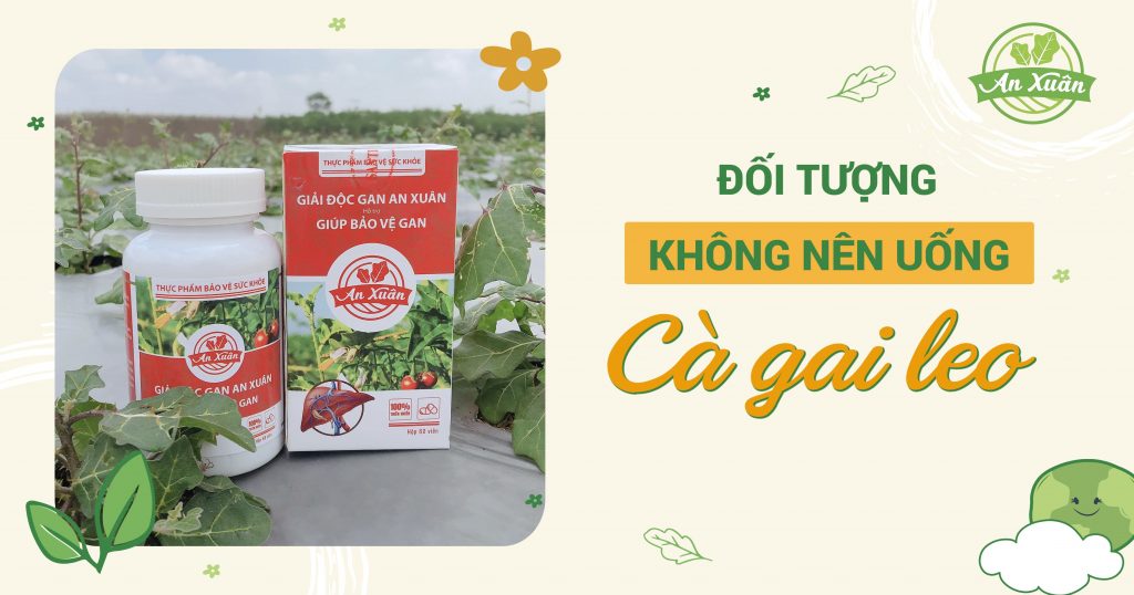 Những Ai Không Nên Uống Cà Gai Leo Và Tác Dụng Phụ Bạn Chưa Biết